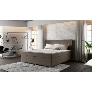Roe Furniture | Boxspringbett - SIMPLE - 160x200 cm - Grau - Mit Bonell-Matratze - Doppelbett - Tagesbett - Bett Schlafzimmer - Gästebett - Grau