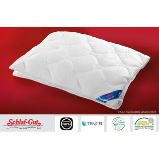 Frankenstolz Schlaf-Gut Duo-Steppbett Lyocell 155 x 220 cm (37301 09625 10)