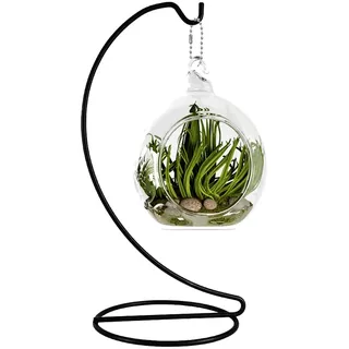 Fosinz 22,9 cm Ornament Display Ständer, Eisen Hängeständer Rack Halter zum Aufhängen von Glaskugeln, Luftpflanzen, Terrarium für Weihnachten, Hochzeit, Zuhause, Büro, Garten Dekorationen (schwarz)