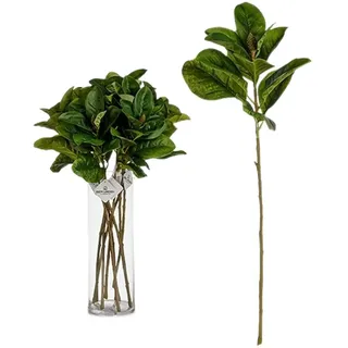 Ibergarden Zweig, Mehrfarbig, Standard