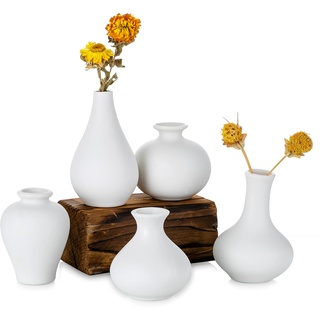 Sziqiqi Kleine Weiß Keramik Vasen 5er-Set, Mini Handmade Keramikvasen für Blumen Pampasgras Moderne Blumenvase Deko für Wohnzimmer Küche Büro Küche und Tisch