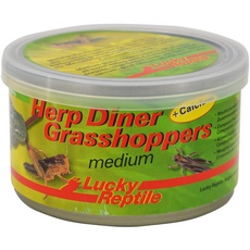 Lucky Reptile Herp Diner - Grasshoppers mittel 35 g, ca. 60 mittlere gekochte Heuschrecken