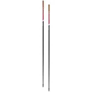 Swix Roadline 1 Pole 175cm