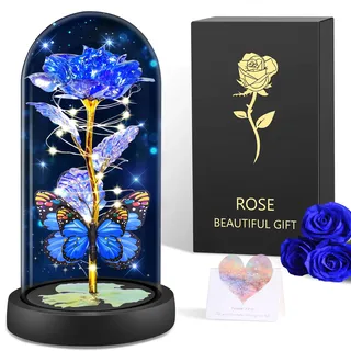BOLEi Geschenke für Frauen,Ewige Rose im Glas mit LED(Klassisch Blau Rose)