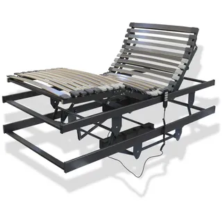 Betten-ABC Lattenrost für Pflegebetten mit motorischer Kopf- und Fußteilverstellung 100 x 200 cm