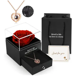 ADAZ Ewige Rose Geschenkbox mit Kette,Eternal Rose, Unendliche Rosen, Valentinstag Muttertagsgeschenk Weihnachtsgeschenke Liebesgeschenke Hochzeitstag Geschenk für Sie Frauen Freundin Women