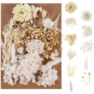Natürliche getrocknte Blumen, echte getrocknte gepresste Bluman DIY gemischte getrocknte Bluman für DIY-Kerzenharz, Schmuck, Nägel, Scrapbooking-Bastelarbeiten