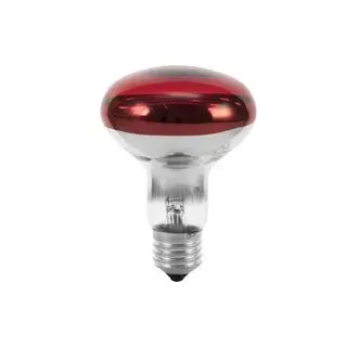 Eurolite 9210360U Glühlampe E27 Reflektor 60 W Rot 1 St.