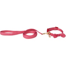 Dolly Doggy Parton Hundegeschirr und Leine/Halsband, Set, Kollektion, rotes Gingham-Halsband, Leine, Set, Größe L