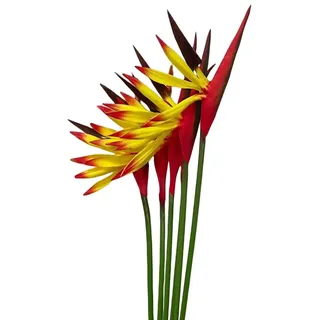 Rikyo 6 Stück Künstliche Blumen Paradiesvogel, 58,4 cm permanente Blume, Strelitzia Tropische Kunstpflanze, Blumensträuße für Büro, Zuhause, Party-Dekorationen, Arrangement (gelb)