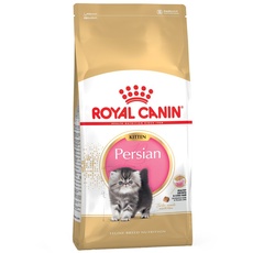 Bild Persian Kitten 10 kg