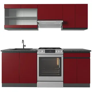 Vicco Küchenzeile R-Line 200 cm Rot