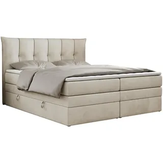MKS Premium 10 King 140 x 200 cm H4 Beige