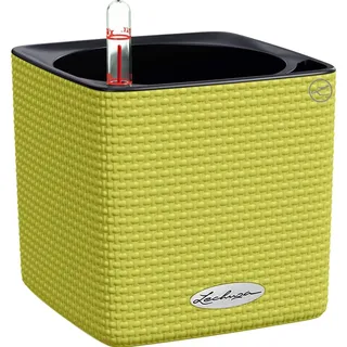 Cube Color Komplettset 14 x 14 x 14 cm limettengrün