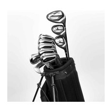 Golfschläger Set 10 Schläger Stahl - 100 Rechtshand, GRÖSSE 2