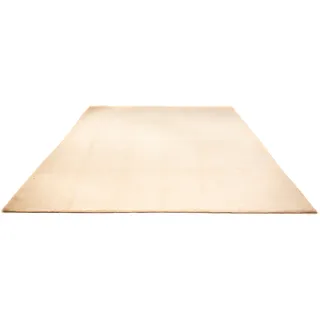 Morgenland »Gabbeh - Loribaft Softy - 300 x 250 cm - beige«, rechteckig, 12 mm Höhe, Wohnzimmer, Einzelstück Beige