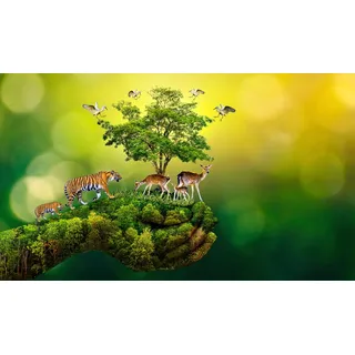 Fototapete PAPERMOON "hand mit Baum und Tieren", bunt, B:2,5m L:1,86m, Vlies, Tapeten, Fototapete