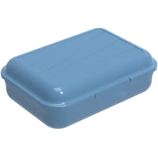 Rotho Fun Vesperdose 0.9l mit herausnehmbarer Trennwand, Kunststoff (PP) BPA-frei, blau, S/0.9l (17.7 x 12.9 x 6.0 cm)