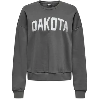 ONLY Damen Onljolana L/S Glitter O-Neck SWT Sweatshirt, Magnet/Print:Dakota, 32