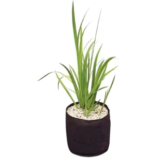 velda Plant Basket 15 x 15 cm (50)