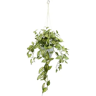 Flair Flower Tradescantiahängeampel mit Topf und Hängeampel Kunstpflanze Tradeskantie hängend Rankend Girlande Pflanzenampel Grünpflanze Zimmerpflanze Kletterpflanze Efeuranke Efeu, ca. 83x45x30 cm