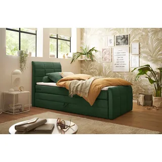 ed exciting design »Bolivia« harte Seite mit Kokosmatte, weiche Seite mit Filzabdeckung,