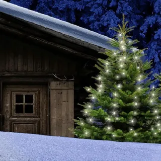 FHS International FHS Lichterkette Baumvorhang 160 LED warmweiß 6/18h Timer