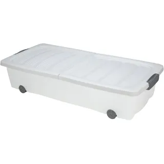 Koopman Rollerbox Unterbettbox auf Rollen mit anthrazitfarbenem Deckel, 80 x 40 x 17 cm, weiß/transparent