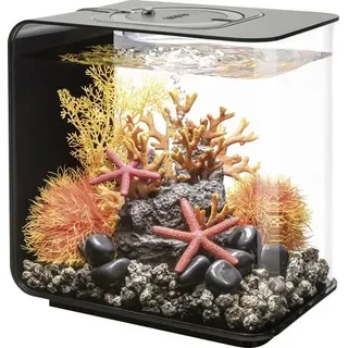 Oase 72029 biOrb FLOW 15 LED schwarz Aquarium 15 l mit LED-Beleuchtung