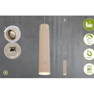 Briloner Pendelleuchte 1-flg. LED 4,5x160 cm rund Beige
