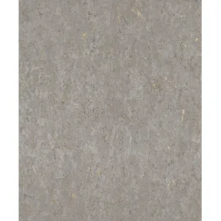 Rasch Textil Vliestapete Curiosity 10,05 m x 0,53 m 300 g Grau/Gold 538335