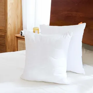Sweetnight Kopfkissen 40x40 2er Set, Kissen aus Polyesterholfaser Kissenfüllungen, Weiches und Stützendes Kissen für alle Schlafpositionen, atmungsaktives Schlafkissen Waschbar mit Reißverschluss