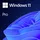 Windows 11 Pro 64-Bit OEM NL