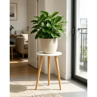 Bamworld Blumenständer Hoch – Moderner Beistelltisch & Pflanzenständer aus Holz, Rundes Design für Wohnzimmer & Balkon Deko