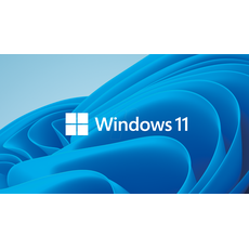Bild von Windows 11 Pro UK