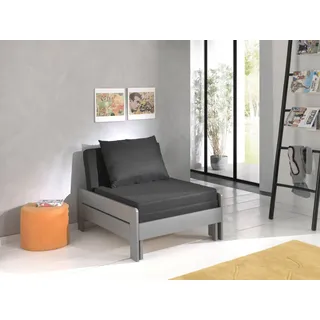 Vipack Jugendbett Pino 80 x 206 cm Kiefer grau