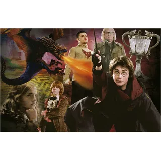 EDUCA Harry Potter Miniatur-Puzzle 1000 Teile