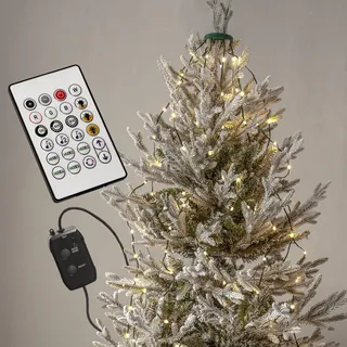 LED-Lichterkette 'Smart', 160 bunte LED, per App - Grün, Schwarz