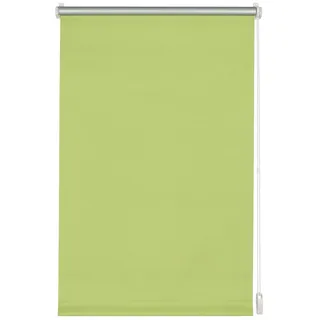 GARDINIA Seitenzugrollo Easyfix 100 x 150 cm grün