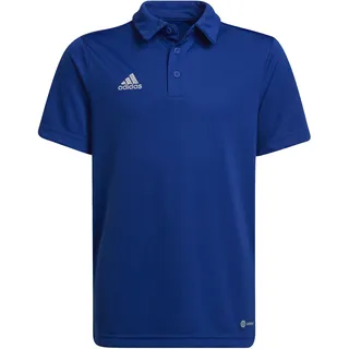 adidas ENTRADA22 Polo Youth team royal blue (AD8R) 116