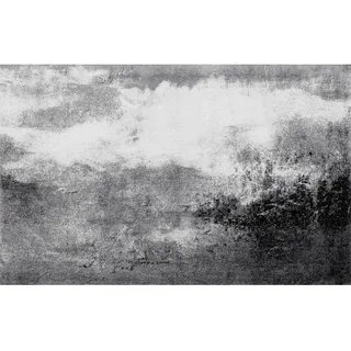 Wash+Dry Fußmatte Aura Style by emselbams wash , dry Sauberlaufmatte