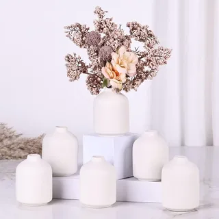 Kleine weiße Vase, moderner Boho-Stil für trockene Blumen, Tafelaufsätze in Großpackung, Mini-Blumenvasen für Hochzeit und Dekoration, 6 Stück