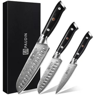 PAUDIN Damastmesser set, Messerset 3-teilig, Damast Küchenmesserset mit Ultra Scharfes Santokumesser Küchenmesser aus 67 Schichten Damaststahl mit Japanischem VG10 Stahl Kern, Ergonomischer G10 Griff