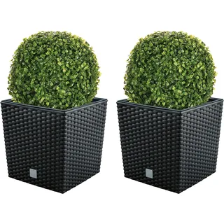 Doppel-Set Blumentopf Rato 32 Liter mit Pflanzkübel in Anthrazit 32 x 32 x 32,5 cm + Buchsbaumkugel Ø 27 cm