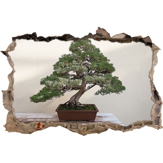 Pixxprint 3D_WD_1555_92x62 Kleiner Bonsai Wanddurchbruch 3D Wandtattoo, Vinyl, bunt, 92 x 62 x 0,02 cm