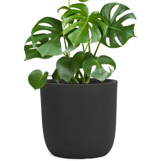 Pflanzwerk® Pflanzkübel Cup - Blumentöpfe Übertöpfe 42cm Ø ANTHRAZIT *Frostbeständige Blumenkübel* *UV-Schutz* *Pflanzenkübel Premiumqualität*