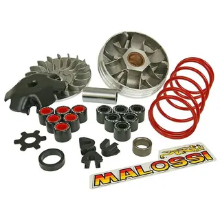 Variomatik MALOSSI Overrange - MALAGUTI F12 Phantom 50 LC (wasser) (bis Bj. 2000)