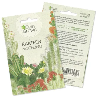 Sukkulenten Samen Mischung: Bunter Kakteen Samen Mix für die Kaktus Pflanzen Aufzucht - Kakteen Saatgut Mischung mit Zimmerpflanzen Samen - Sukkulenten echte Pflanzen - Mini Kakteen Set von OwnGrown