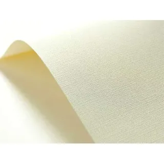 Netuno 20x Strukturkarton Creme Raster-Prägung DIN A4 21 x 29,7 cm 246g Elfenbeinkarton Chamois bedruckbar für Visitenkarten Einladungs-Karten Hochzeit Geburtstag Weihnachten