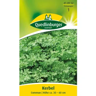 Quedlinburger Kerbel ''Commun''